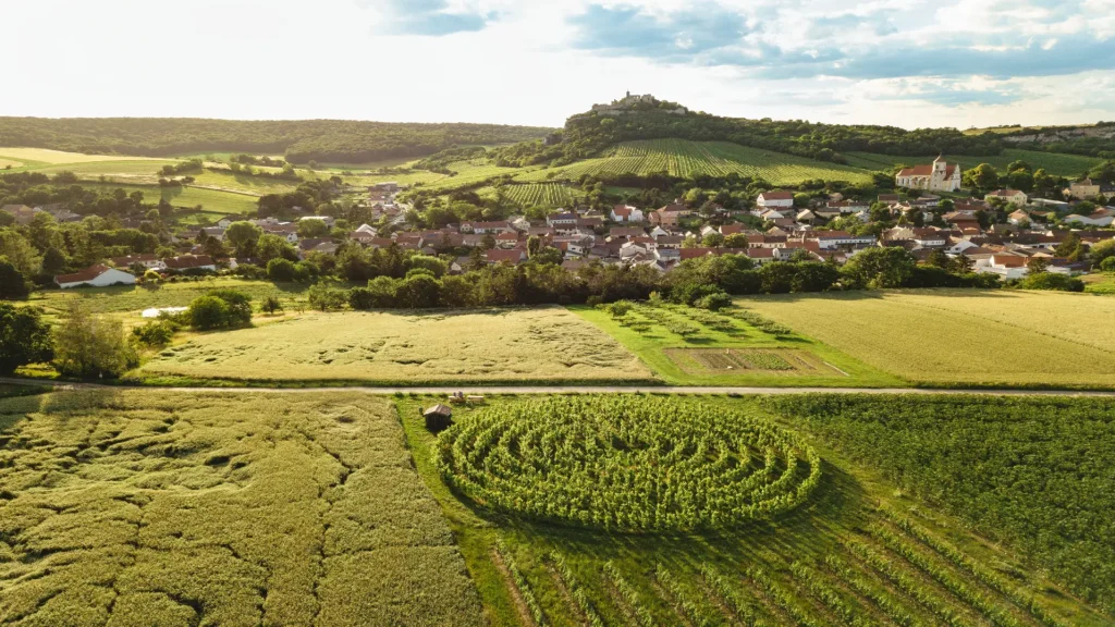 Blick auf Falkenstein mit seiner Burgruine und Kirche - Ausflugsziele im Weinviertel