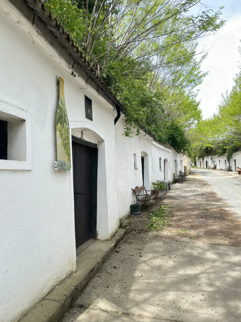 Fot von der Kellergase Poysdorf mit Fokus auf Keller mit Bild in Form einer Weinflasche - Schlafen in Poysdorf