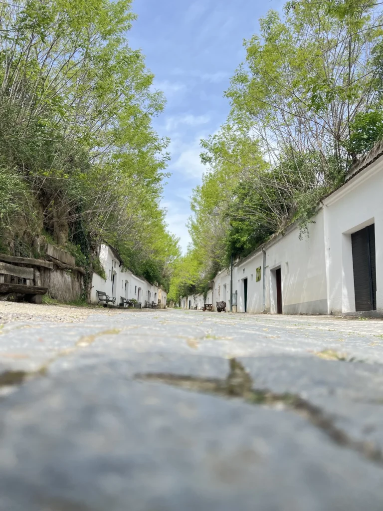 Foto von der Kellergase Poysdorf - Urlaub im Weinviertel Chalet