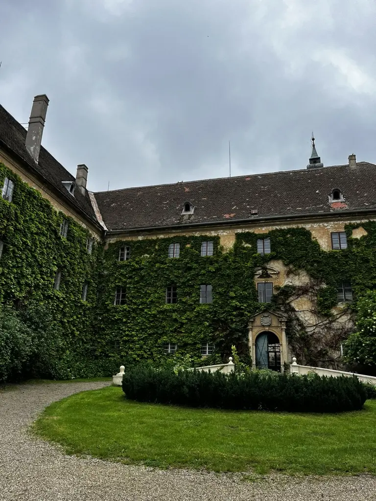 Das mit Efeu überwachsende Schloss Poysbrunn - Ausflugsziele im Weinviertel