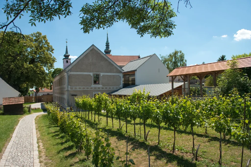 Ansicht des VinoVersum WEIN+TRAUBEN Welt mit einem Weingarten im Vordergrund - Ausflugsziele im Weinviertel